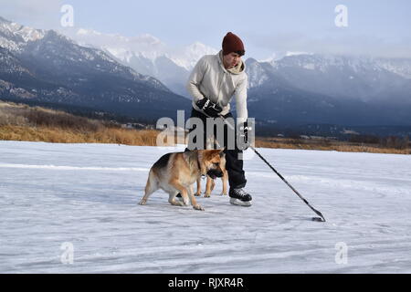 Un homme pratique son stick handling, gardant le palet loin de ses chiens sur un étang gelé dans les Rocheuses canadiennes. Banque D'Images