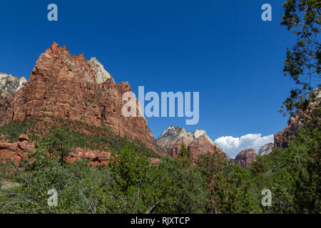 Pointe Jacob, une partie de la Cour des patriarches à Zion National Park, Springdale, Utah, United States. Banque D'Images