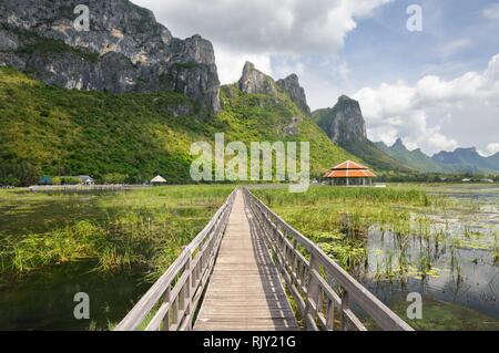 Sentier de bois par les zones humides et marais couverts de roseaux et de nénuphars au pied de la montagne à Khao Sam Roi Yot National Park en Thaïlande Banque D'Images