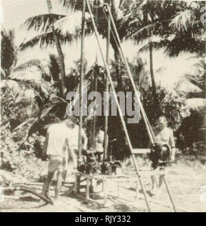 . Bulletin de recherche sur les atolls. Les récifs coralliens et d'îles ; biologie marine ; sciences de la mer. La figure 17. Barge de forage coulé dans le lagon de l'île de Midway, Juillet, 1965. CARMARSEL EXPEDITION (1967). L'Institut Scripps d'océanographie a organisé l'expédition de CARMARSEL avec l'objectif de résoudre la fin du Quaternaire de l'élévation du niveau de la controverse dans la Micronesian Area. Il est particulièrement intéressant de la question de savoir si oui ou non au cours des 6 000 ans il y avait des niveaux de la mer dans cette région, qui étaient au-dessus du niveau actuel de la mer. Les travaux comprenaient la recherche d'échantillons de tourbe, forages peu profonds en calcaire corallien (Fig. 18) Banque D'Images