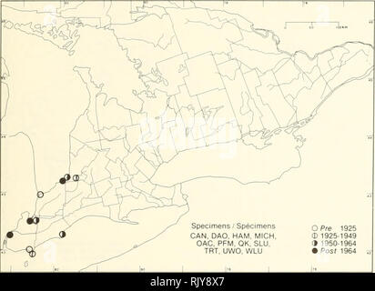 . Atlas des plantes vasculaires rares de l'Ontario. Les plantes rares, la botanique. Atlas des plantes vasculaires rares de l'Ontario / Atlas des plantes vasculaires rares de l'Ontario Liatris ASTERACEAE aspera Michx. var. intermedia (Lunell) Gaiser ultra-star Liatride rugueux. / Échantillons spécimens peuvent, DAG. Jambon, MICH, OAC, PFM, QK, SLU, TRT. L'UWO, WLU OPre 1925 0 1925-1949 " 1950-1964 m Poster 1964. Veuillez noter que ces images sont extraites de la page numérisée des images qui peuvent avoir été retouchées numériquement pour plus de lisibilité - coloration et l'aspect de ces illustrations ne peut pas parfaitement ressembler à l'œuvre originale Banque D'Images