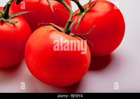 Les tomates juteuses humides sur la vigne Banque D'Images
