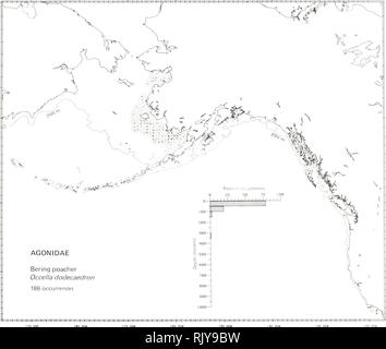 . Atlas et la zoogéographie des poissons communs dans la mer de Béring et du Pacifique Nord-Est / M. James Allen, Gary B. Smith. La répartition géographique des poissons de la mer de Béring.. Occella dodecaedron braconnier, de Béring (1813) Agonidae Tilesius : Les braconniers ont signalé la littérature du nord de la mer du Japon et la mer d'Okhotsk à Olyutorski Bay et Norton Sound dans la mer de Béring au lagon Izembek sur la péninsule de l'Alaska (Andriyashev 1954 Wilimovsky ; 1964 ; Quast et Hall 1972), à des profondeurs de 7 à 59 m (Howe, 1981). Les données d'enquête a trouvé de Kotzebue Sound dans la mer de Chukchi au sud le long de la côte de l'Alaska de l'Est Banque D'Images