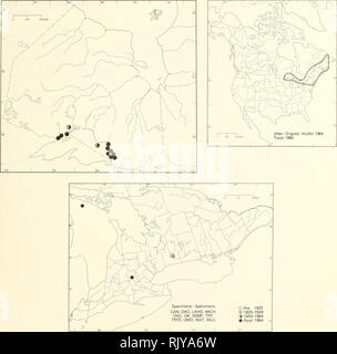 . Atlas des plantes vasculaires rares de l'Ontario. Les plantes rares, la botanique. ASPLENIACEAE Polystichum braunii (Spenner) Fée ssp. purshii (Fern.) Calder &AMP ; Taylor Braun de Lemmon, orientale Lemmon Polystic de Braun. / Échantillons spécimens peuvent, DAO, LKHD, MICH, OAC, OK, SSMF, TRT, trie, UWO, WAT WLU, avant 1925 (B O O 1925-1949 1950-1964 m Poster 1964 : l'habitat de feuillus ou bois mixtes sur les pentes de talus rocheux, ravins, et lits de cours. Statut : En voie de disparition dans le Wisconsin et rare dans le Massachusetts. HABITAT : Bois feuillus ou mixtes sur les talus, dans les ravins rocheux et les lits de cours d'eau. SITUATION : Banque D'Images