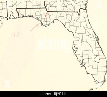 . Atlas du United States arbres : volume 5. La Floride. Les arbres. 100 200 miles 1,1,1 | ' JE ' | ' I ' ' ' Je | | 0 100 200 300 kilomètres. Site l.-Pinus glabra Walt., spruce pine. Carte 8.-Pinus palustris Mill., pin des marais. Carte 9.-Pinus serotina Michx., étang de pin. Carte 10.-Pinus taeda L., le pin à encens. Carte 11.-Taxodium distichum (L.) Rich., baldcypress. Carte 12.-Taxus floridana Nutt., Floride if.. Veuillez noter que ces images sont extraites de la page numérisée des images qui peuvent avoir été retouchées numériquement pour plus de lisibilité - coloration et l'aspect de ces illustrations ne peut pas parfaitement ressembler à l'ori Banque D'Images