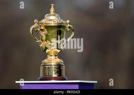 Heidelberg, Allemagne. Le 04 février, 2019. La formation de l'équipe nationale allemande de Rugby. La Webb Ellis Cup, la Coupe du monde. Credit : Jürgen Kessler/dpa/Alamy Live News Banque D'Images