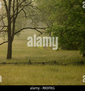 Lane rural dans le brouillard du matin Banque D'Images
