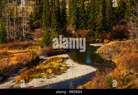 Un ruisseau qui coule à travers la forêt Banque D'Images