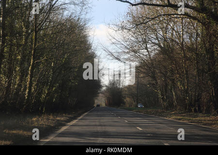 Route bordée d'A31 en direction de Southampton en Angleterre Banque D'Images