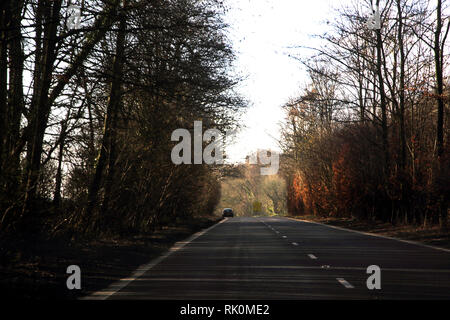 Route bordée d'A31 en direction de Southampton en Angleterre Banque D'Images