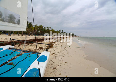 Matin sur la plage de Bavaro (République dominicaine) / jeté sur le sable les algues Banque D'Images