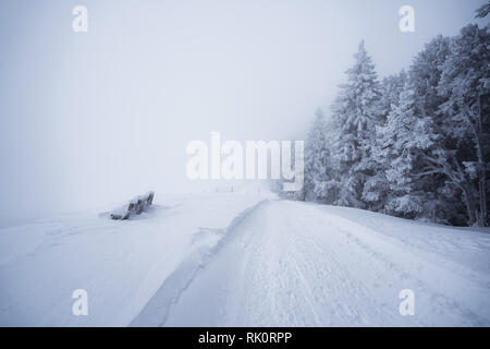 L'hiver dans la région du Gantrisch, Berner Oberland. Matin brumeux dans les Alpes. Banque D'Images