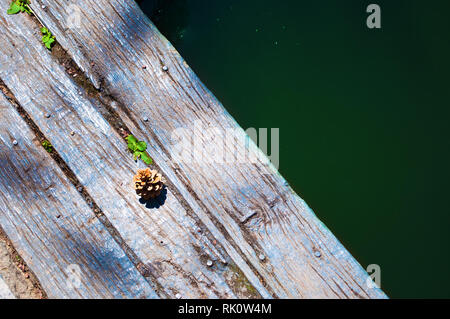 L'un cone allongé sur planches en bois fissuré près de l'eau vert foncé d'un étang. Vue d'en haut Banque D'Images