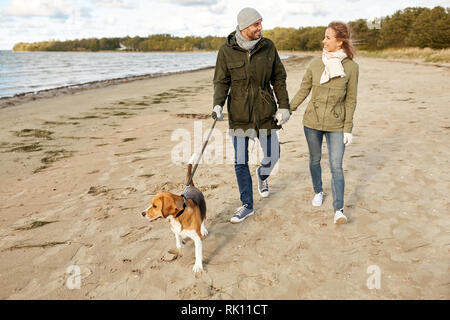 Heureux couple avec chien beagle sur plage d'automne Banque D'Images