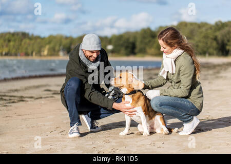 Heureux couple avec chien beagle sur plage d'automne Banque D'Images