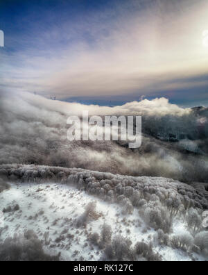 Froid matin d'hiver dans la forêt de montagne de neige couvertes de sapins. Une scène splendide de Stara Planina en Bulgarie. Banque D'Images