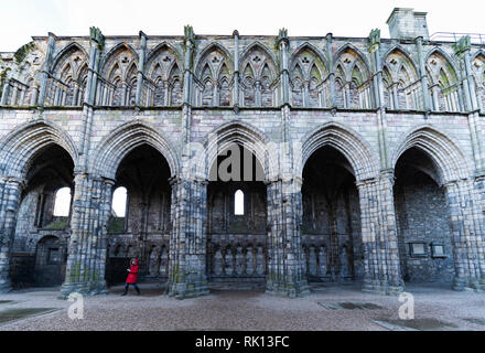 Détail de l'abbaye de Holyrood en ruine au palais de Holyroodhouse à Edimbourg, Ecosse, Royaume-Uni Banque D'Images