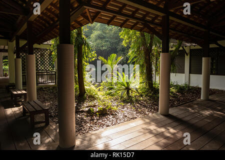 Singapour - Décembre 2018 : Vue de la magnifique nature de l'intérieur de bâtiment à la réserve de Sungei Buloh. Banque D'Images