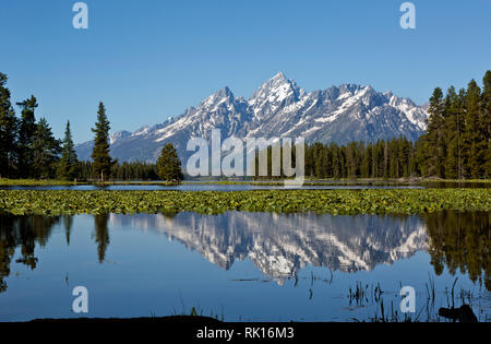 WY03349-00...WYOMING - Mont Moran se reflétant dans l'Étang du Héron, connecté à Jackson Lake, dans le Parc National de Grand Teton. Banque D'Images