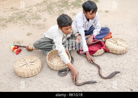 Deux jeunes garçons montrent les Cobras dans un village à l'extérieur de l'Agra. Montre Snake snake et charmant qui est populaire en Inde. Banque D'Images