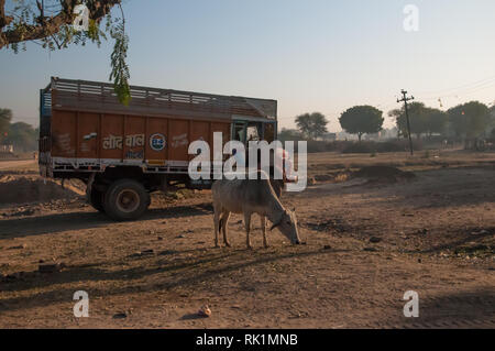 Scène de la vie quotidienne dans un village de la campagne du Rajasthan, Inde Banque D'Images