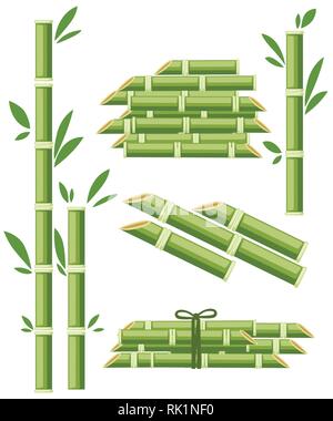 Les cultures agricoles de l'usine de sucre. La canne à sucre avec la leaf. Ingrédient pour un aliment sucré et dessert. Télévision vector illustration isolé sur fond blanc. Illustration de Vecteur