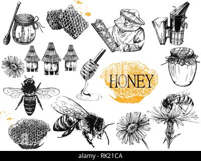 Ensemble de croquis dessinés à la main, objets sur le thème de l'apiculture style isolé sur fond blanc. Vector illustration. Illustration de Vecteur