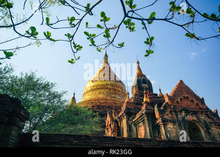 Bagan, Myanmar - Juillet 23, 2017 : Golden temples Bagan, bâtiments religieux du bouddhisme. Swe taw myat buddha tooth relic pagode, Yangon Myanmar Banque D'Images