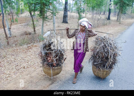 Bangkok, Thaïlande - 24 août 2018 : femme porte broussailles dans des paniers. Village Bagan en Thaïlande Banque D'Images