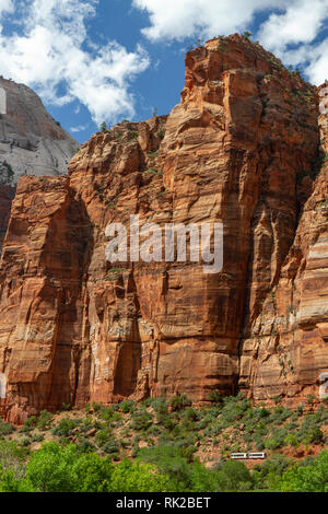 Navette de bus du parc en direction de vue Big Bend passant sous Pierre Mur, Zion National Park, Springdale, Utah, United States. Banque D'Images