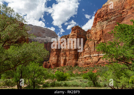 Navette de bus du parc en direction de vue Big Bend passant sous Pierre Mur, Zion National Park, Springdale, Utah, United States. Banque D'Images