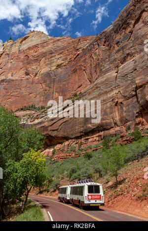 Navette de bus du parc en direction de vue Big Bend passant sous Pierre Mur, Zion National Park, Springdale, Utah, United States. Banque D'Images