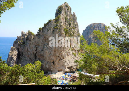 Faraglioni de Capri vue entre branches d'arbres, l'île de Capri, Italie Banque D'Images