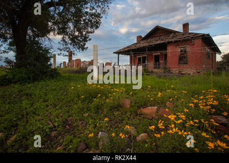 Ejido Colonia Pacheco, MPO. Casas Grandes, Chihuahua, Mexique Banque D'Images