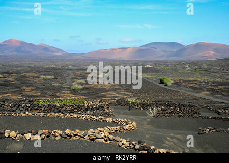 Winery sur l'île de Lanzarote, Îles Canaries Banque D'Images