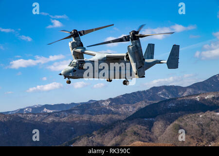 Une MV-22B Balbuzard tête au point de ralliement pour ramasser des Marines américains avec 2e Bataillon, 23e Régiment de Marines, actuellement affecté à la 3e Division de marines, pendant l'exercice, à la lumière de la forêt 19,2 Aibano Domaine de formation, le Japon, le 5 février 2019. L'Osprey est utilisé dans diverses missions d'insertion et d'extraction parce qu'ils ont un large éventail de fonctionnalités, y compris le décollage et atterrissage vertical. (U.S. Marine Corps photo par Lance Cpl. Christine Phelps) Banque D'Images