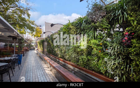 Johannesburg, Afrique du Sud, 24 Août - 2018 : Les plantes plantées sur mur. Mur vivant Banque D'Images