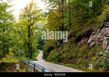 De belles couleurs des feuilles d'automne dans la forêt, et la route qui mène à Babin zub (Le Grandmather's Tooth pic) Banque D'Images