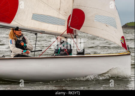 Bantry, West Cork, Irlande. Feb 9, 2019. Club de voile de Bantry est l'hébergement de l'universités irlandaises Régate de voile, organisée par l'UCC, ce week-end, quand environ 150 marins de 8 universités autour de l'Irlande se réunissent pour le racing et événements sociaux. La régate se compose de 80 courses sur les deux jours dans 'Firefly' dériveurs. Credit : Andy Gibson/Alamy Live News. Banque D'Images