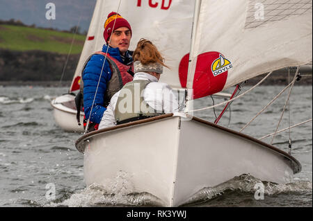 Bantry, West Cork, Irlande. Feb 9, 2019. Club de voile de Bantry est l'hébergement de l'universités irlandaises Régate de voile, organisée par l'UCC, ce week-end, quand environ 150 marins de 8 universités autour de l'Irlande se réunissent pour le racing et événements sociaux. La régate se compose de 80 courses sur les deux jours dans 'Firefly' dériveurs. Credit : Andy Gibson/Alamy Live News. Banque D'Images