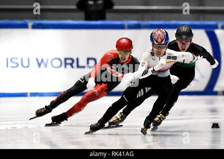 Torino, Italia. 09Th Feb 2019. Crédit photo : LaPresse/Alamy Vivre la Coupe du Monde NewsISU courte piste, Torino, Italia Banque D'Images