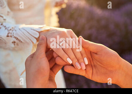 Proposition de mariage dans un champ de lavande. Banque D'Images