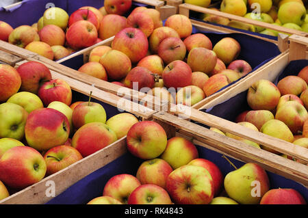 Les caisses en bois avec des pommes fraîches en vente au marché de fermiers Banque D'Images