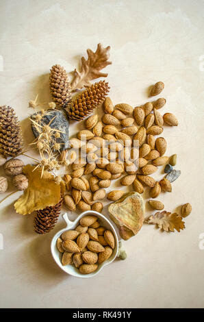 Automne Nature morte avec des amandes non traitées dans une tasse de faïence blanche et sur une table de bois entre les cailloux, les cônes et les feuilles d'automne Banque D'Images