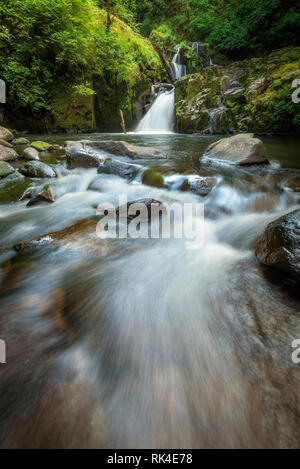 Cascades sur Sweet Creek, forêt nationale de Siuslaw, Oregon. Banque D'Images