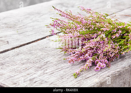 Bouquet de scotch violet heather bush (Calluna vulgaris, Erica, Ling, également appelé Ling plante sur la lande) sur un fond de bois vieux gris Banque D'Images