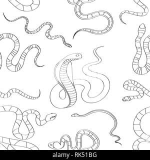 Jeu de Snake. Les serpents, allongées, apodes reptiles carnivores. Les Lézards, squamatesToxic concept de la faune de reptiles Illustration de Vecteur