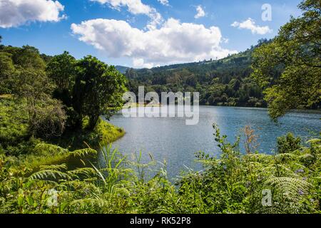 Sur le lac artificiel du barrage de Mulunguzi, Plateau de Zomba, Malawi, Afrique Banque D'Images