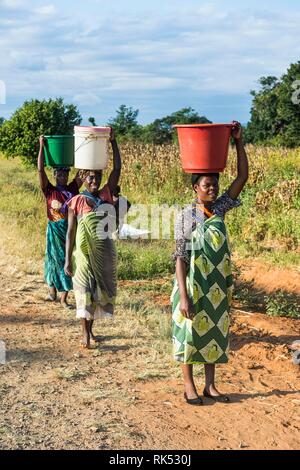 Les femmes locales transportant des seaux sur la tête, le Malawi, l'Afrique Banque D'Images