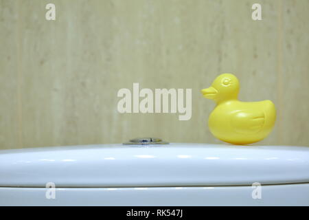 Le canard jaune comme un ajout et la décoration dans les toilettes ont été fixés sur un réservoir d'eau pour le rinçage. Banque D'Images